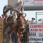 Rodeo 2012